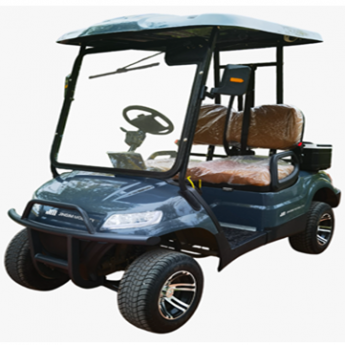 충전식 골프카트 2인승 (납산/리튬이온 배터리 옵션선택)